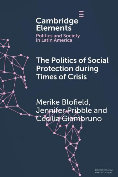 Politics of Social Protection During Times of Crisis