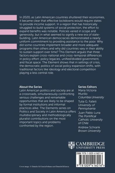 Politics of Social Protection During Times of Crisis