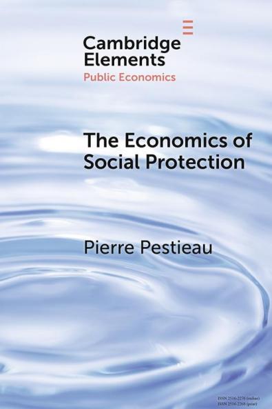 Economics of Social Protection