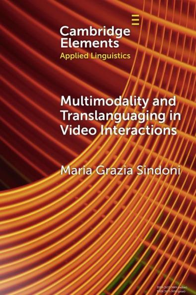Multimodality and Translanguaging in Video Interactions