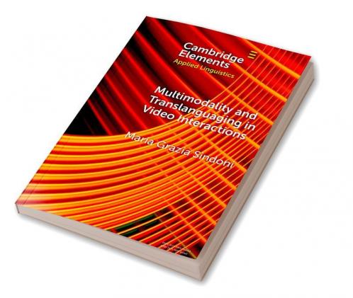 Multimodality and Translanguaging in Video Interactions