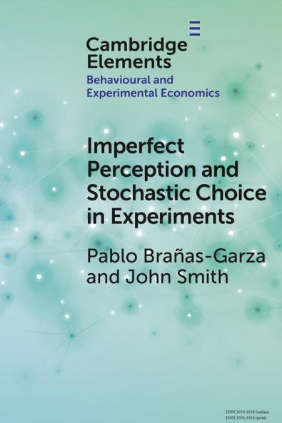 Imperfect Perception and Stochastic Choice in Experiments