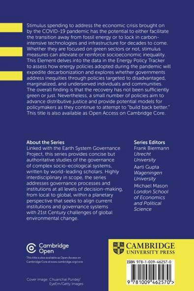 A Green and Just Recovery from COVID-19?