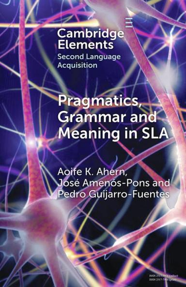 Pragmatics Grammar and Meaning in SLA