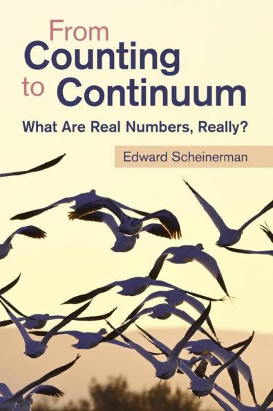 From Counting to Continuum