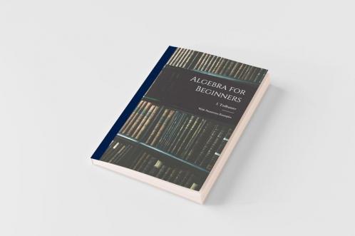 Algebra for Beginners