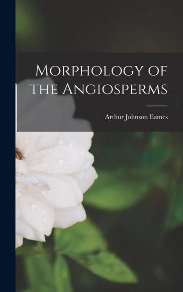 Morphology of the Angiosperms