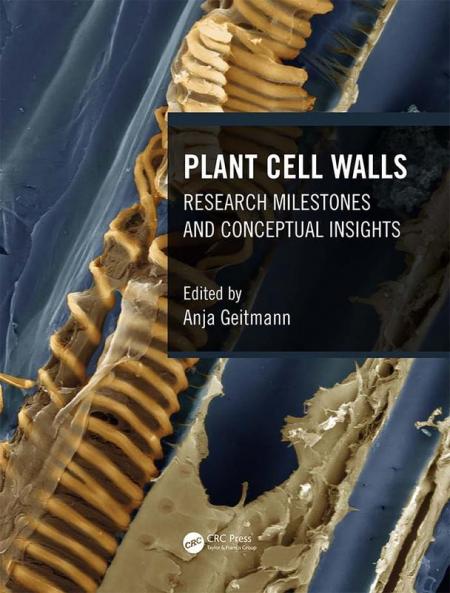 Plant Cell Walls