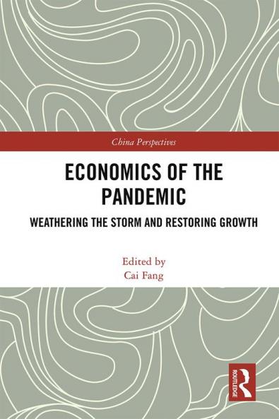 Economics of the Pandemic