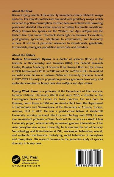 Phylogenetics of Bees