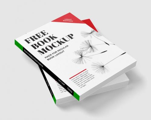 Manual for Developing Intercultural Competencies