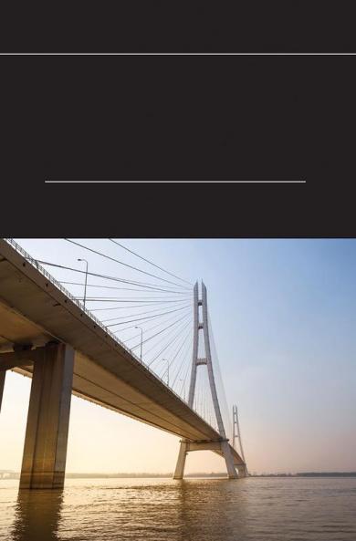 Transport and Interactions of Chlorides in Cement-based Materials