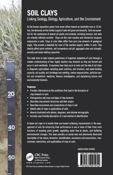 Soil Clays