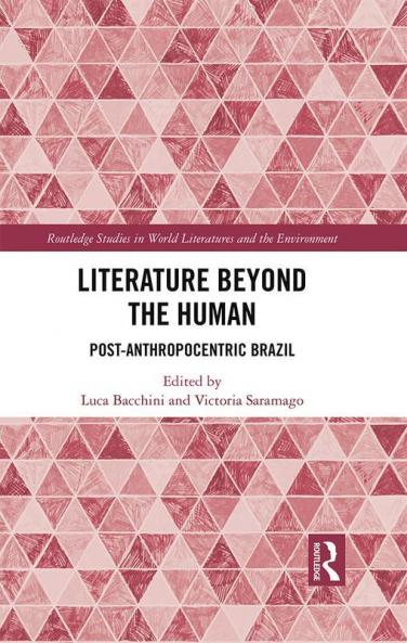 Literature Beyond the Human