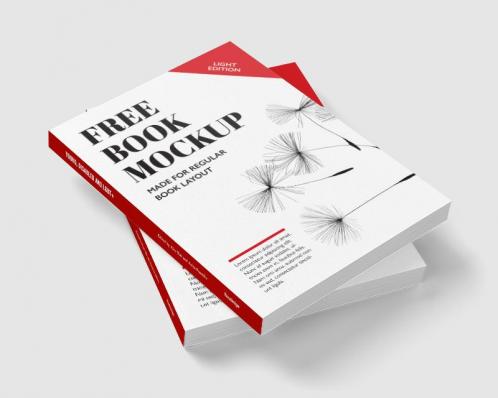 Young Disabled and LGBT+