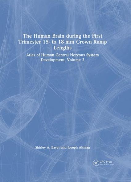Human Brain During the First Trimester 15- To 18-MM Crown-Rump Lengths