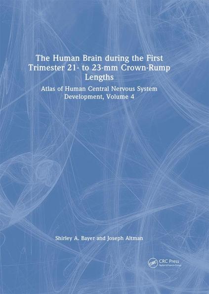 Human Brain during the First Trimester 21- to 23-mm Crown-Rump Lengths