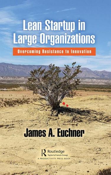 Lean Startup in Large Organizations