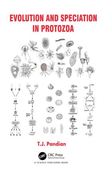 Evolution and Speciation in Protozoa
