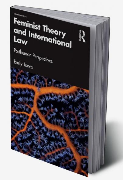Feminist Theory and International Law
