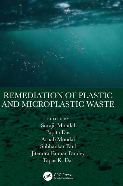 Remediation of Plastic and Microplastic Waste