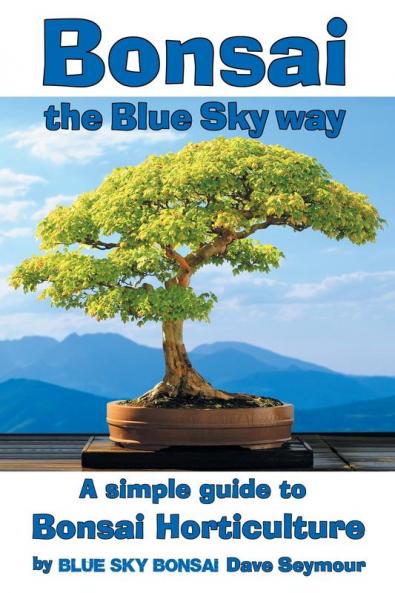 Bonsai the Blue Sky way