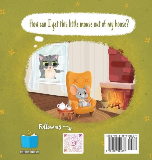 Little Mouse in My House