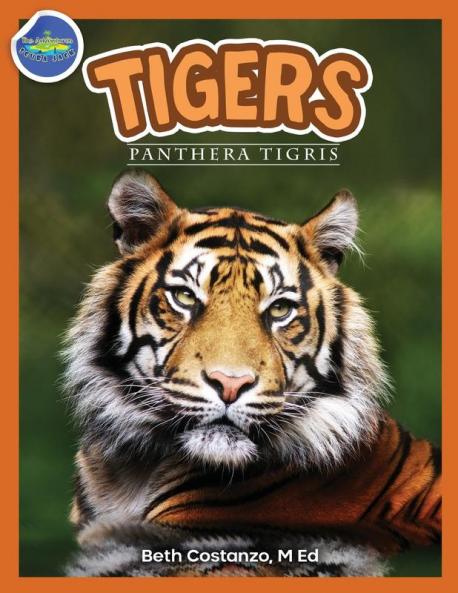 Tigers Panthera Tigris ages 2-4