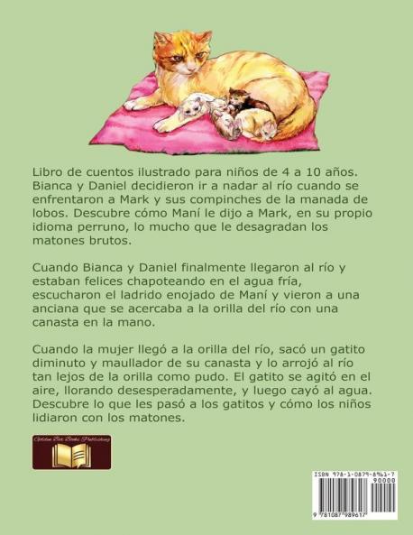 cesta de gatitos