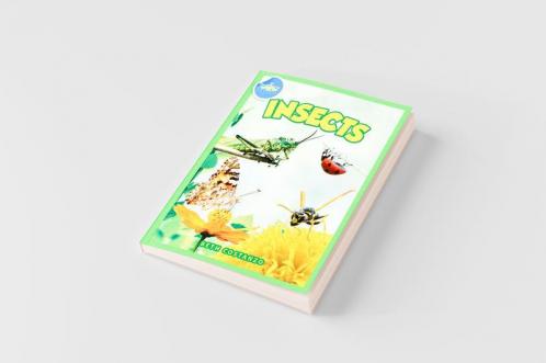 Bugs in My Backyard for Kids