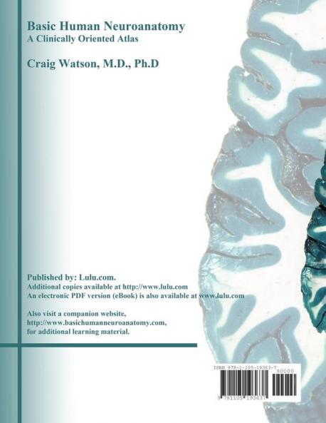 Basic Human Neuroanatomy