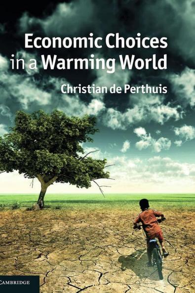 Economic Choices in a Warming World