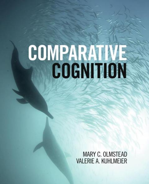 Comparative Cognition