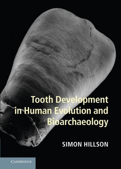Tooth Development in Human Evolution and Bioarchaeology