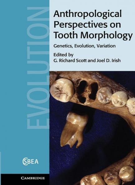 Anthropological Perspectives on Tooth             Morphology