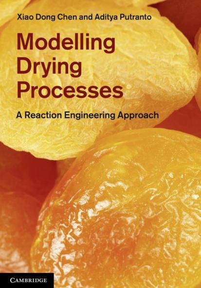 Modeling Drying Processes