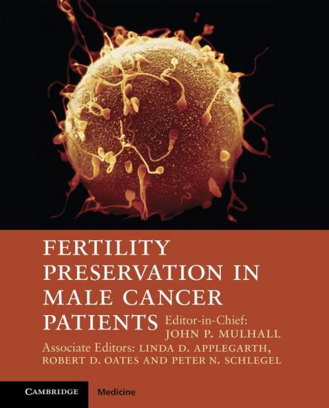 Fertility Preservation in Male Cancer Patients