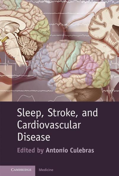 Sleep Stroke and Cardiovascular Disease