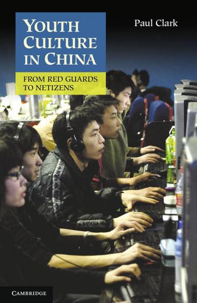 Youth Culture in China