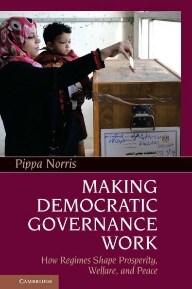 Making Democratic Governance Work
