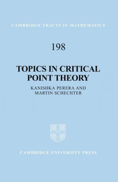 Topics in Critical Point Theory