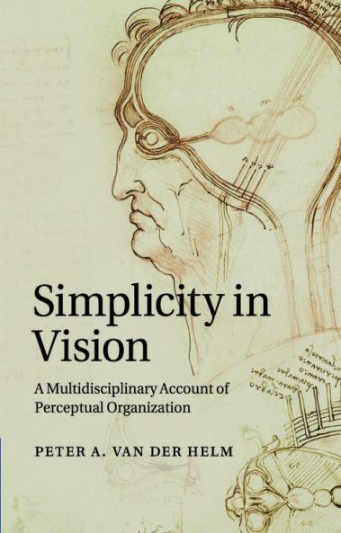 Simplicity in Vision