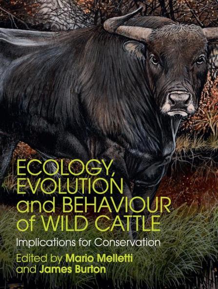 Ecology Evolution and Behaviour of Wild             Cattle