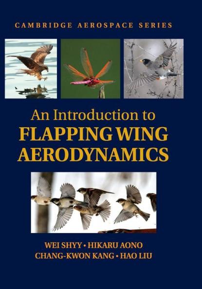 An Introduction to Flapping Wing Aerodynamics