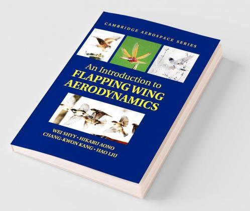 An Introduction to Flapping Wing Aerodynamics
