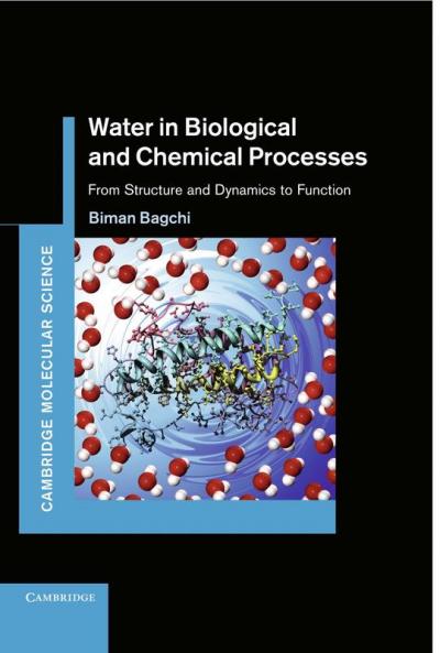 Water in Biological and Chemical Processes