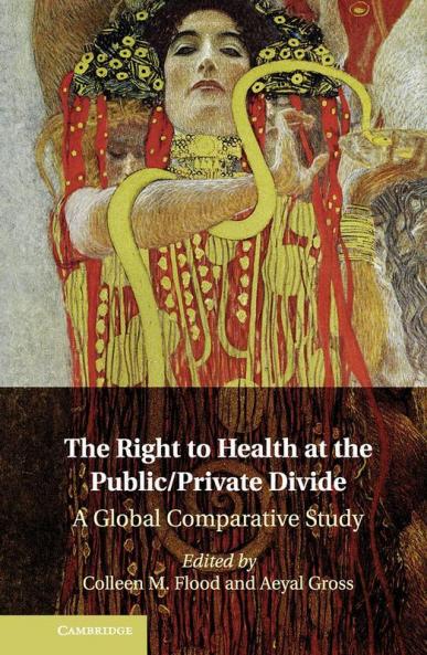The Right to Health at the Public/Private             Divide