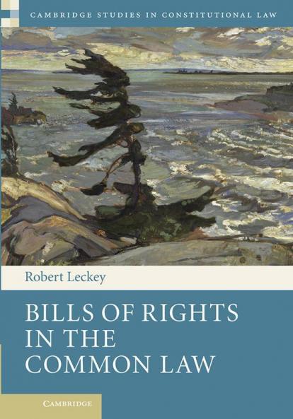 Bills of Rights in the Common Law