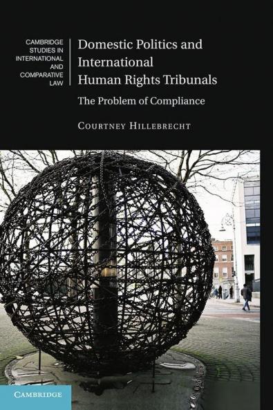 Domestic Politics and International Human Rights Tribunals
