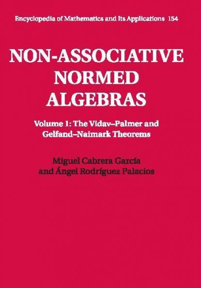 Non-Associative Normed Algebras